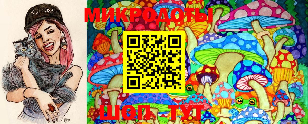 Галлюциногенные грибы Psilocybe  Вход с VPN  Галлюциногенные грибы мухоморы  Выборг 