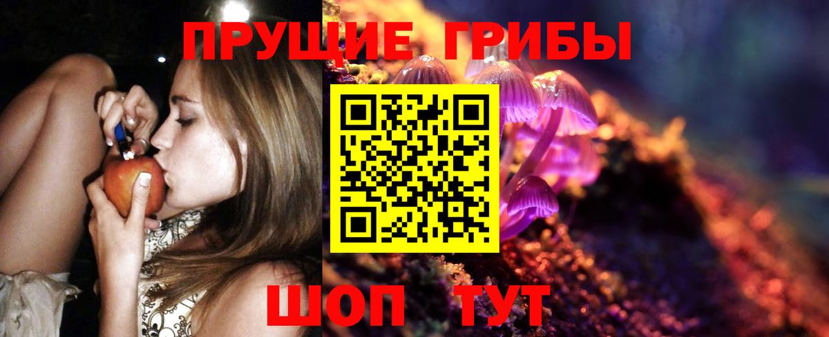 Псилоцибиновые грибы Psilocybe Выборг
